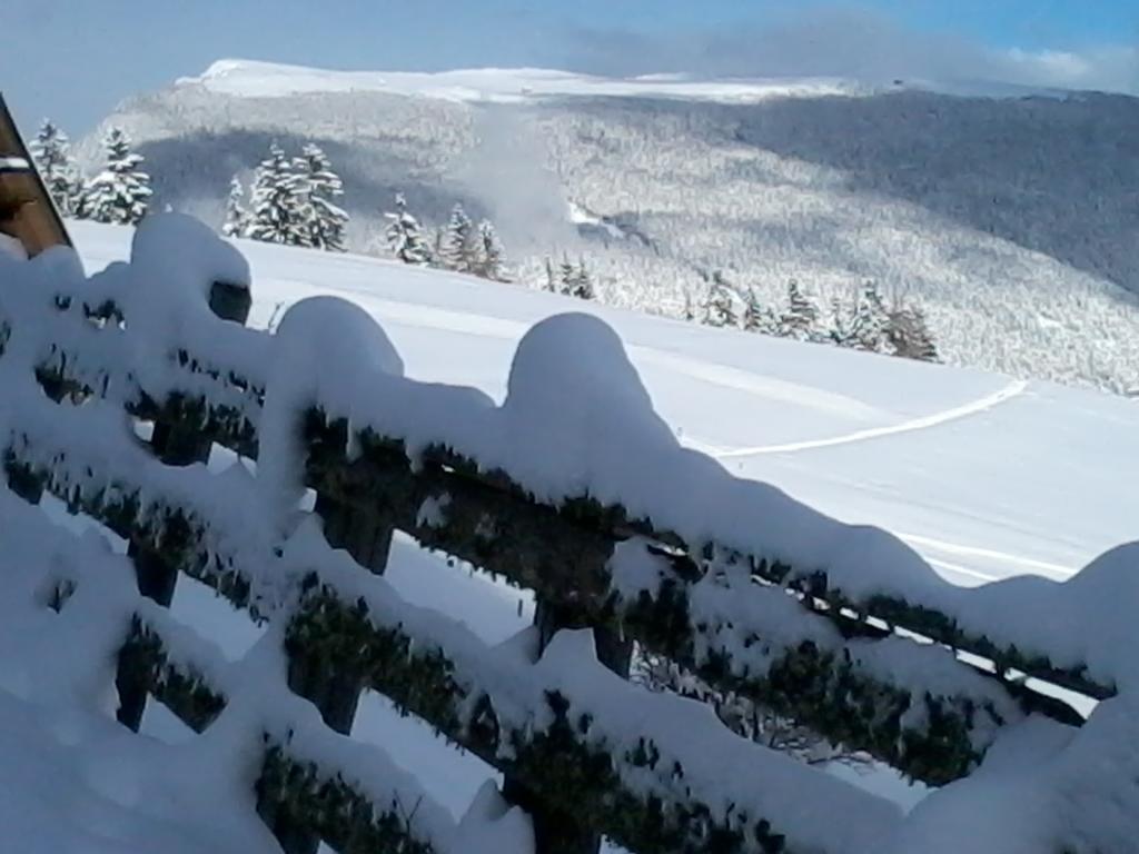 Garni Kostner Hotel Ortisei Luaran gambar